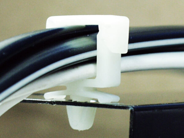 CH-1 - Image 4