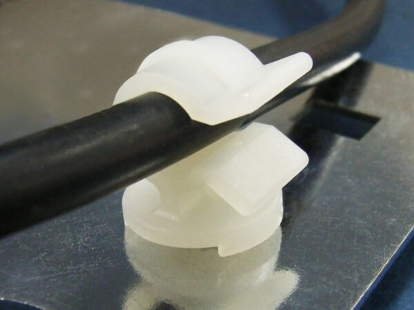 CH-12 - Image 5