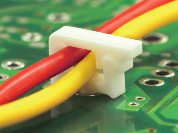 CHLB-1 - Image 5