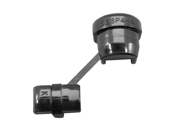 SB6P4-4