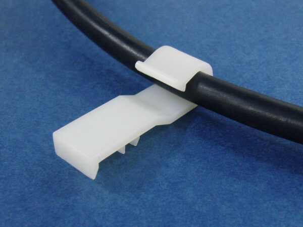 WCL-2 - Image 4